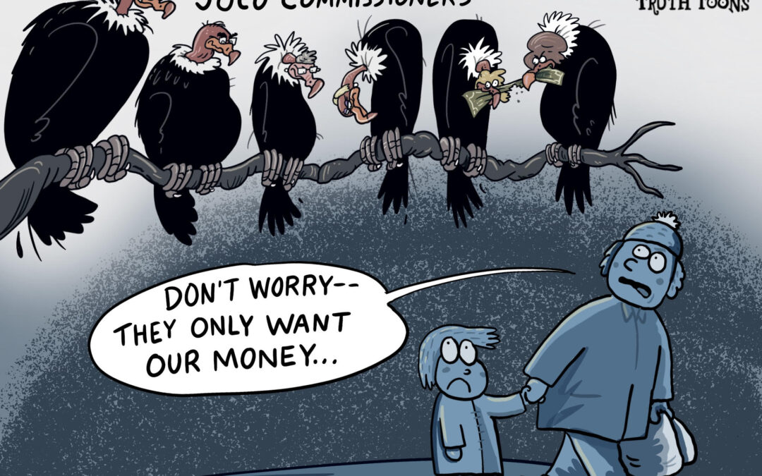 Elected Officials, Vultures, Taxpayers Roadkill?